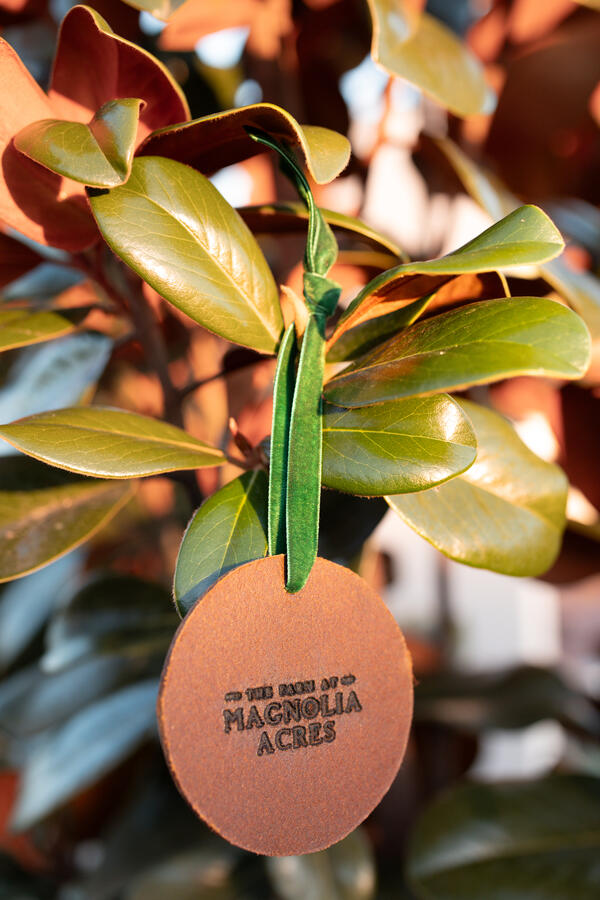 ornament with logo