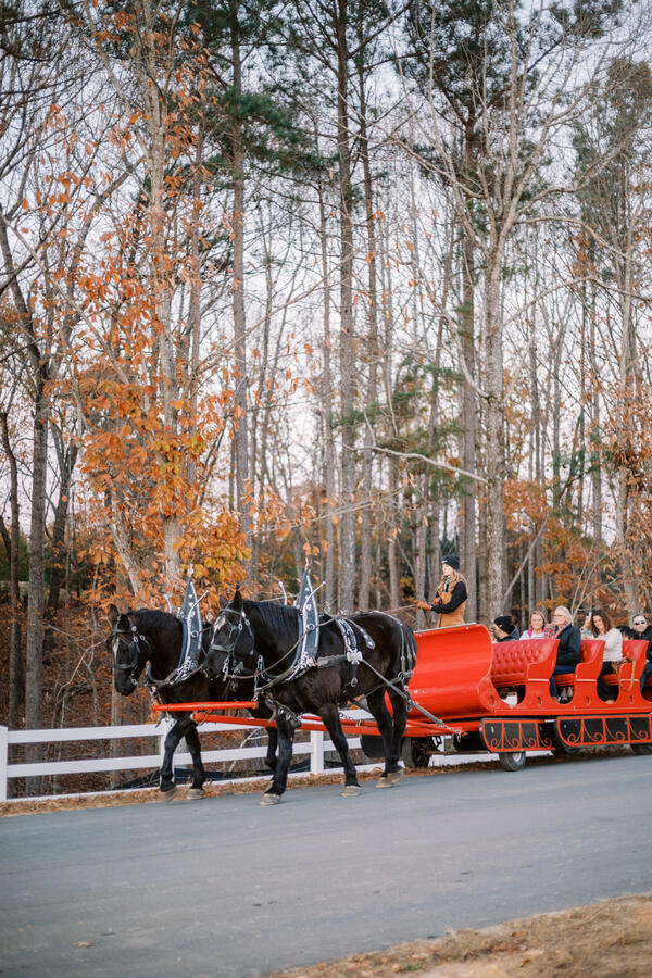 Horse Drawn Sleigh Ride